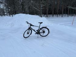 IMG_2783.jpeg