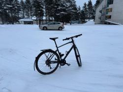 IMG_2784.jpeg