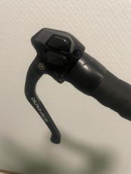 IMG_1566.jpeg