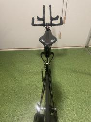 IMG_1569.jpeg