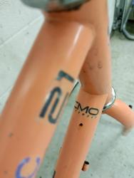 IMG_20231223_185007.jpg