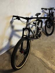 IMG_3886.jpeg