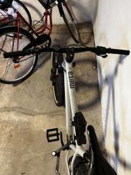IMG_3891.jpeg