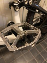 IMG_1961.jpeg