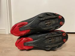 IMG_4110.jpeg