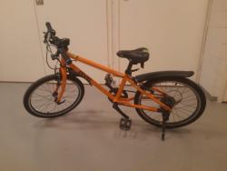 Frogbike 55.jpg