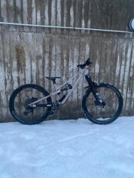 IMG_2748.jpeg