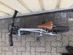 IMG_4371.jpeg