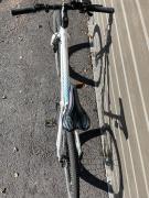 IMG_4685.jpeg