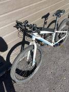 IMG_4686.jpeg