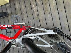 IMG_5990.jpeg