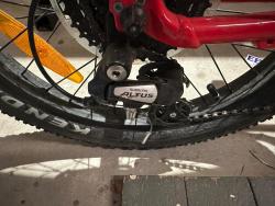 IMG_7930.jpeg