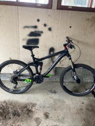 IMG_8419.jpeg
