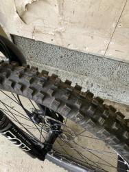 IMG_8421.jpeg