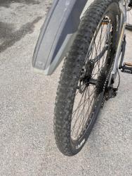 IMG_0803.jpeg