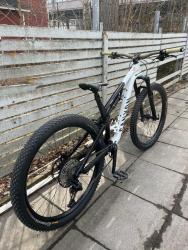 IMG_1774.jpeg