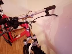 IMG_20230527_172424.jpg