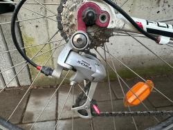 IMG_5114.jpeg