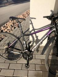 IMG_8397.jpeg