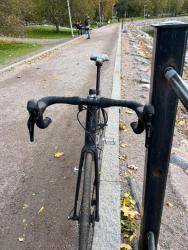 IMG_9639.jpeg