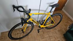 bianchi 2.jpg