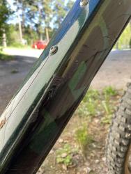 IMG_0425.jpeg