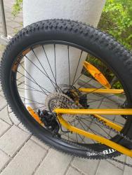 IMG_0638.jpeg