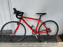 IMG_0795.jpeg