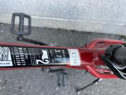 IMG_1091.jpeg