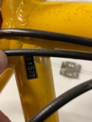 IMG_2109.jpeg