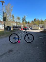 IMG_2177.jpeg