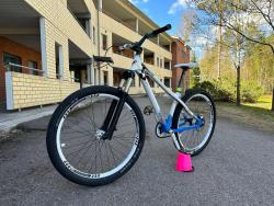 IMG_2179.jpeg
