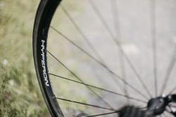 IMG_2594.jpg.a2053656cc4365471b84df5842c8b6e8.jpg