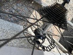 IMG_3194.jpeg