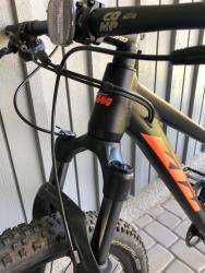 IMG_4149.jpeg