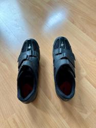 IMG_5350.jpeg
