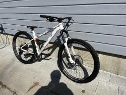 IMG_5352.jpeg