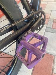 IMG_6721.jpeg