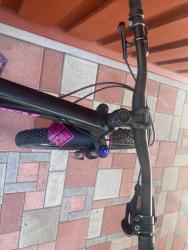 IMG_6722.jpeg