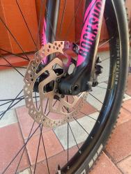 IMG_6723.jpeg