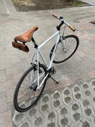 IMG_6800.jpeg