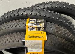 IMG_7219.jpeg