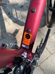 IMG_7899.jpeg