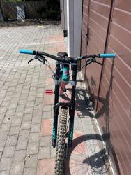 IMG_8450.jpeg