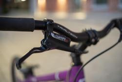 IMG_1158.jpeg