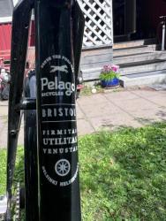 IMG_1305.jpeg