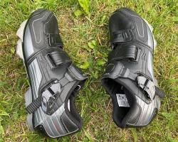 IMG_1520.jpeg