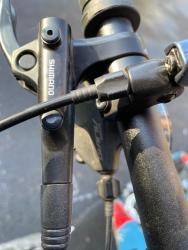 IMG_2006.jpeg