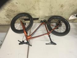 IMG_4555.jpeg