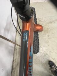 IMG_4557.jpeg